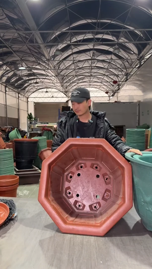 【闪购商品】复合65八角花盆2个