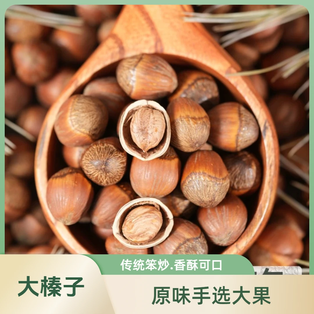 东北大果榛子新货炒熟自然成熟高端营养坚果50克