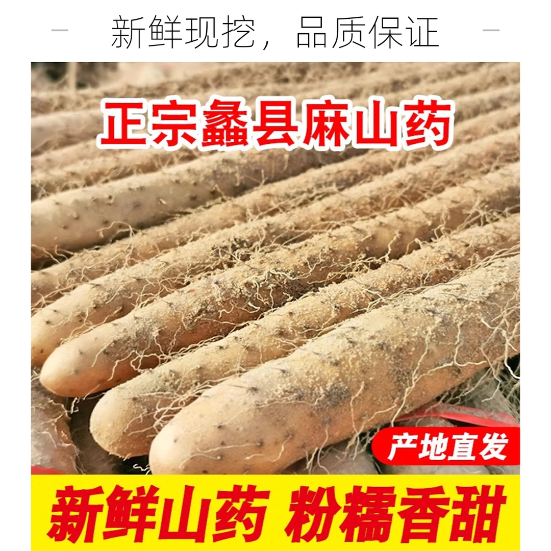 河北小白嘴淮山铁棍山药新鲜5斤垆土种植源头产地现挖现发包邮