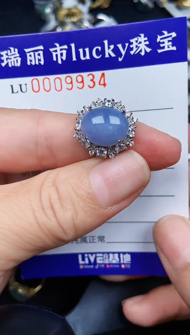 翡翠银S925镶嵌颈饰9934