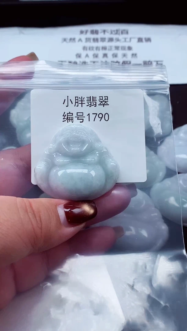 颈饰未镶嵌翡翠缅甸天然A货翡翠1790