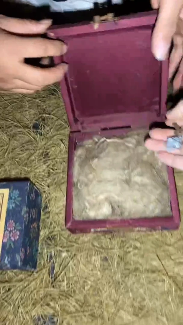 香榧木 一一一一一一一一福利