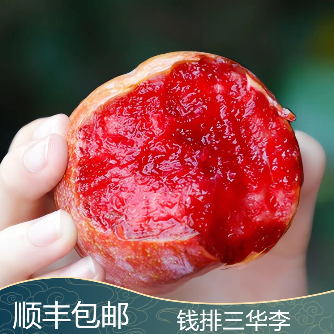 新鲜三华李红心酸甜脆爽当季水果喜爱之选老少皆宜果园现摘现发