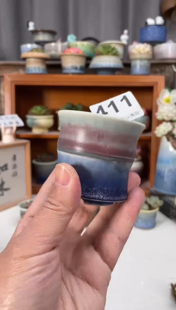 瓷片411小芳直播编号