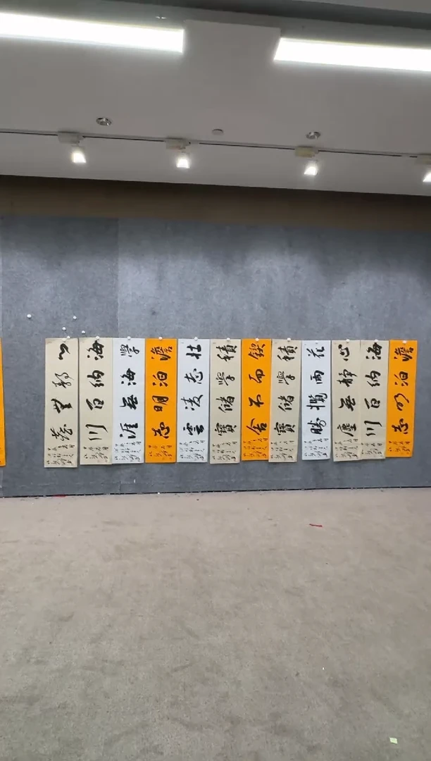 【闪购商品】书法pmw不二轩旗舰店书法ZXQ10