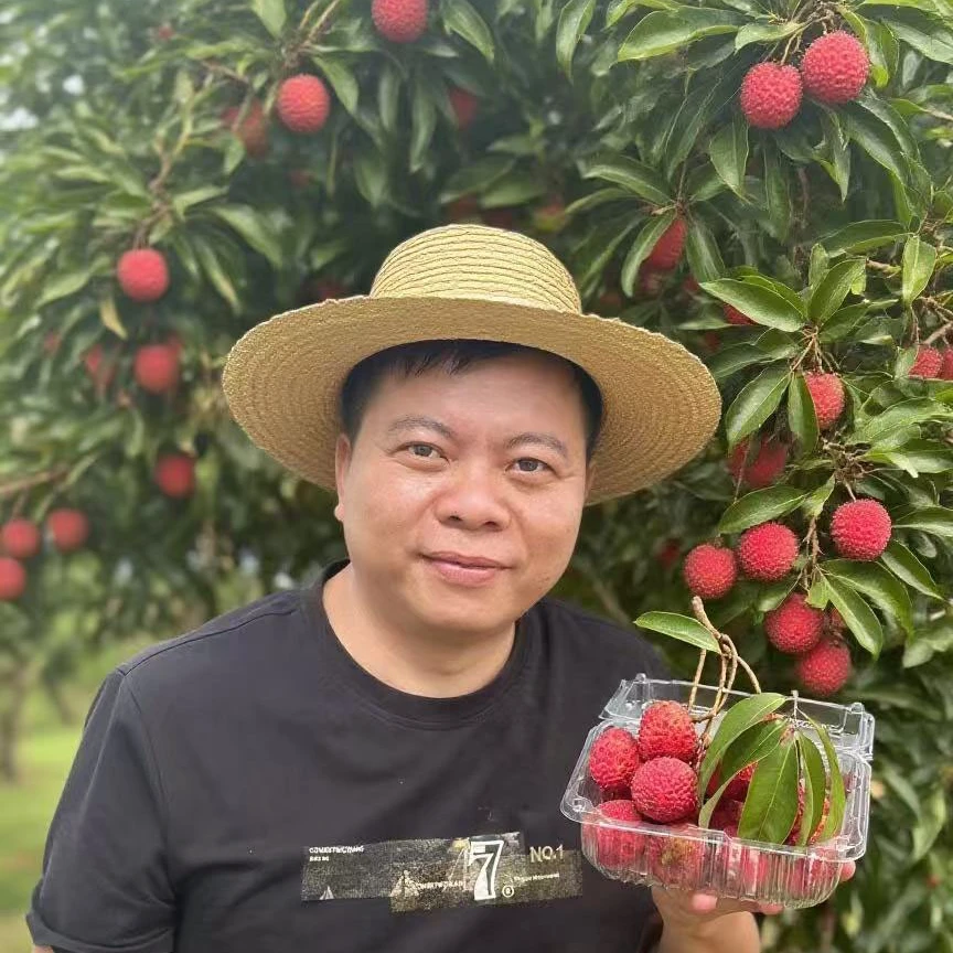 【潮汕同学-视频款摘现发】自家果园玲珑精品果A果广东顺丰包邮