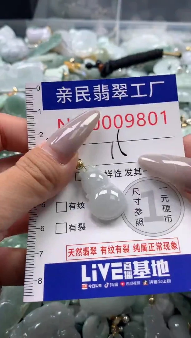 颈饰未镶嵌翡翠9801