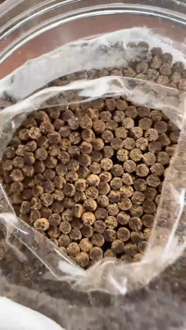 线香43号 芽庄沉水棋楠 100克