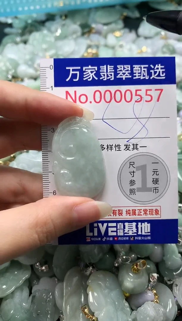 吊坠(不含链)未镶嵌翡翠0557