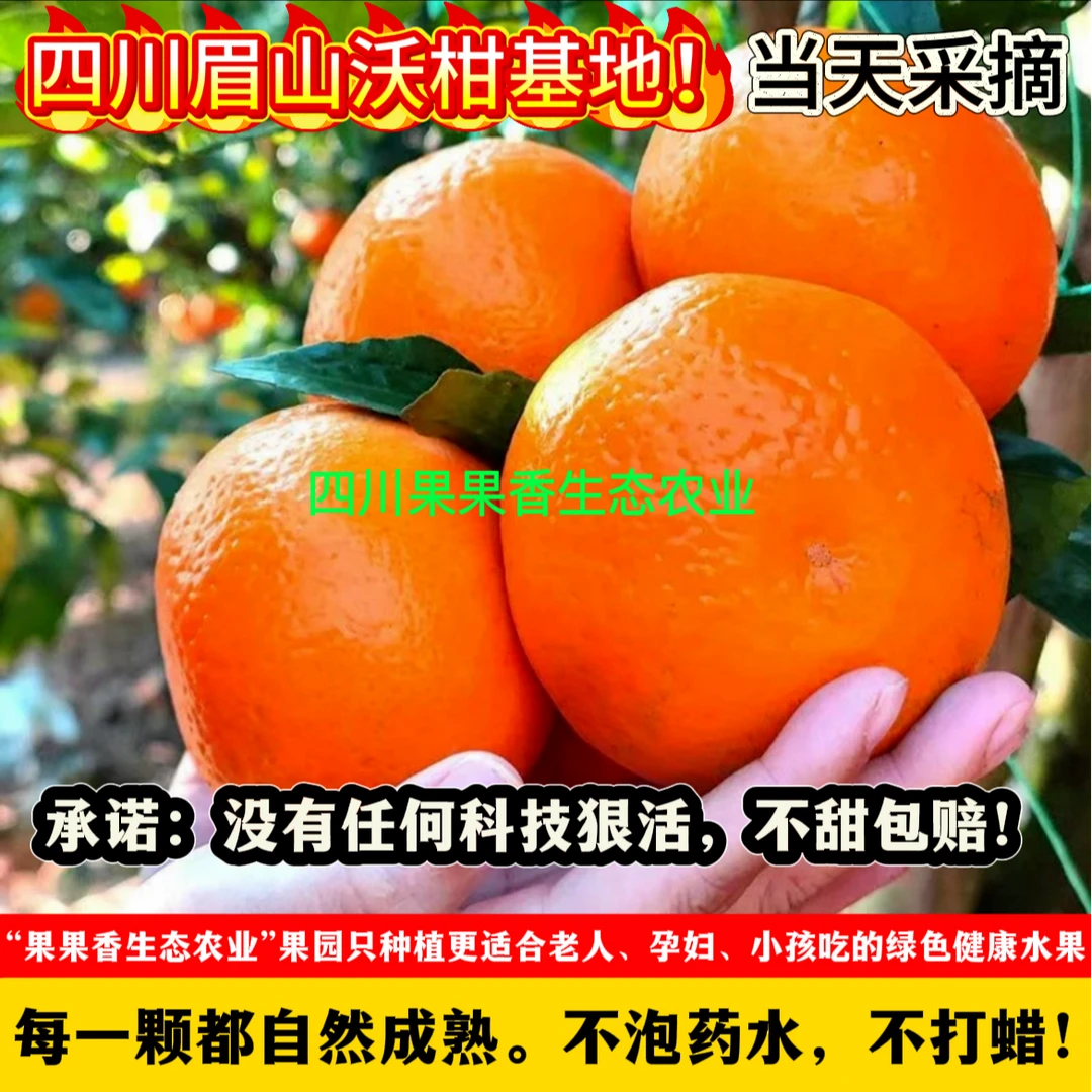 3斤试吃装 091无核沃柑 橘子桔子天然维C 当季现摘水果坏果包赔