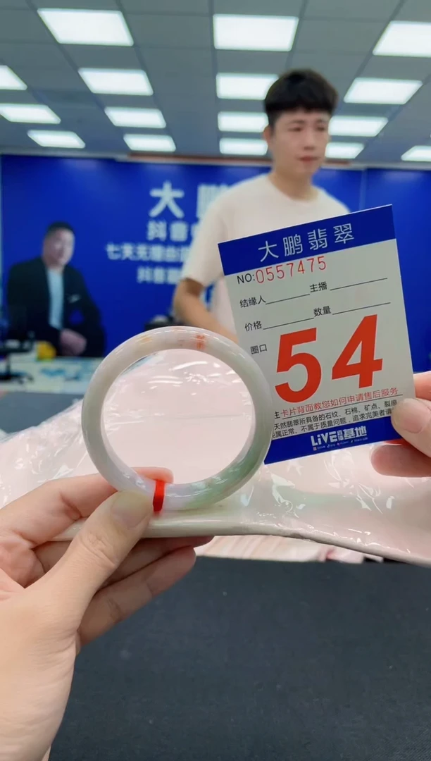 未镶嵌手镯翡翠AAAAAAAAA