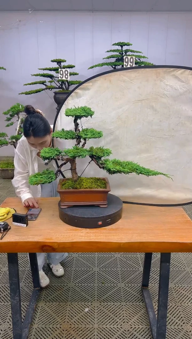 无花朵一物一拍一物一拍