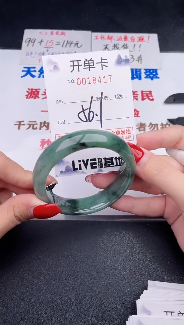 未镶嵌手镯翡翠17
