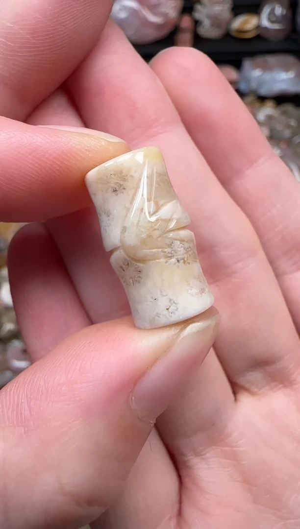 颈饰未镶嵌硅化珊瑚（珊瑚玉）504