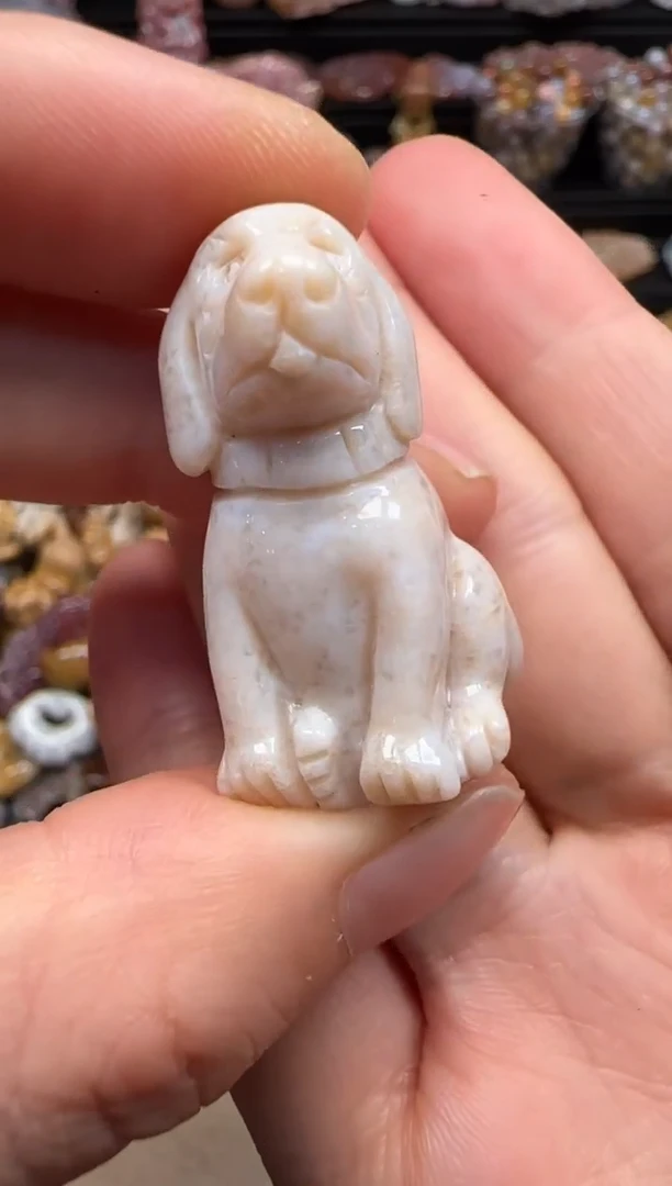 【闪购商品】硅化珊瑚（珊瑚玉）颈饰未镶嵌678