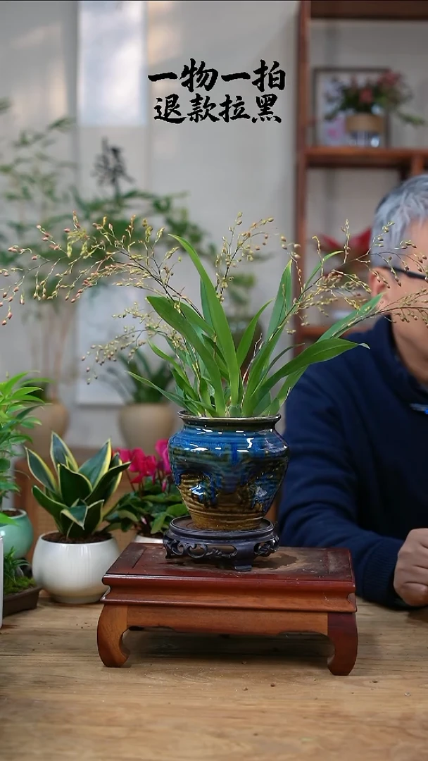 完全开放用****1文心兰69