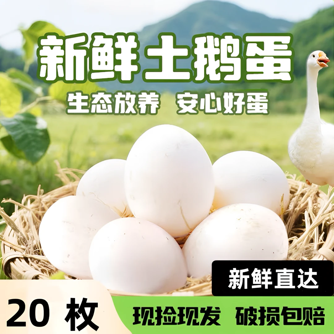 【到手20枚】新鲜散养农家土鹅蛋  现捡 现发 破损包赔