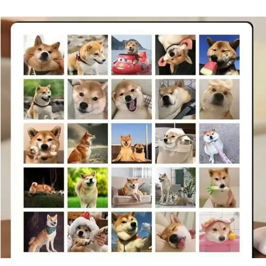 狗狗宠物相册定制款