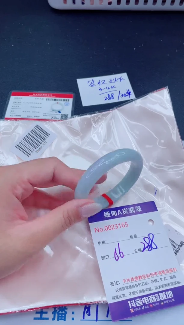 未镶嵌手镯翡翠288