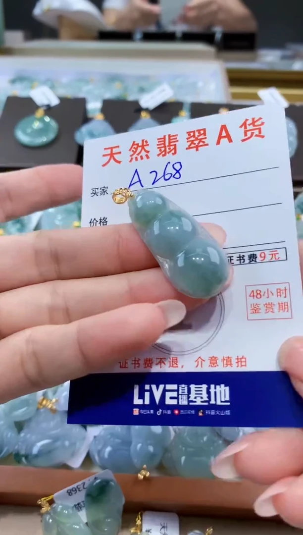 颈饰未镶嵌翡翠天然翡翠A货挂件
