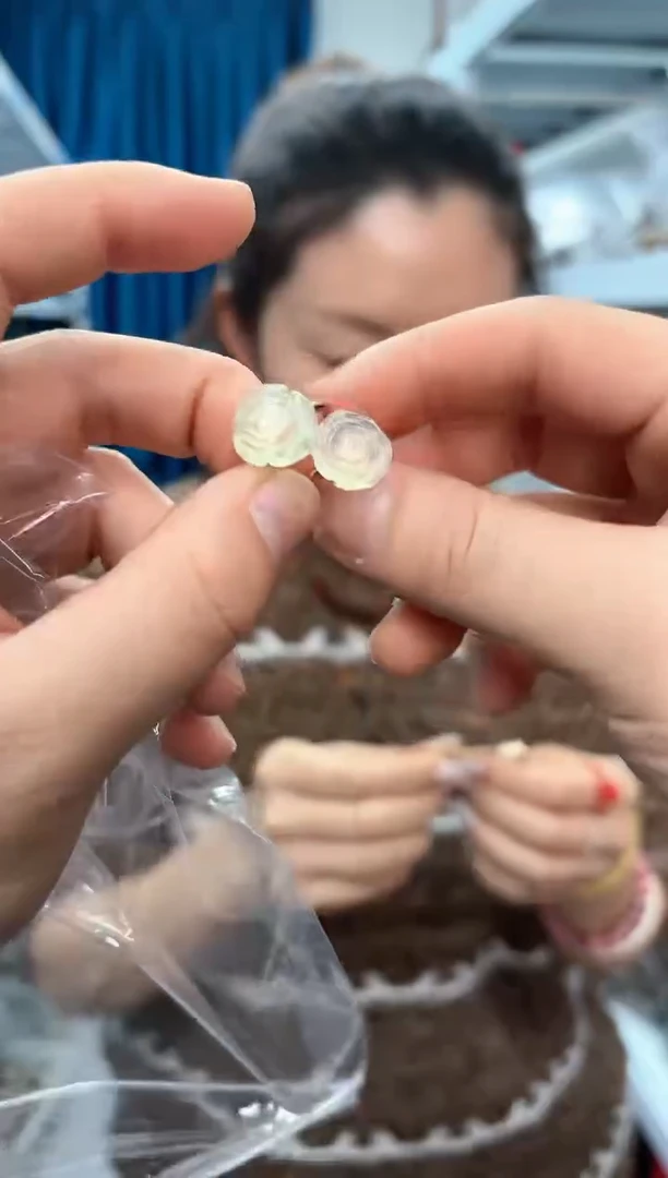 【闪购商品】葡萄石戒指合金一个