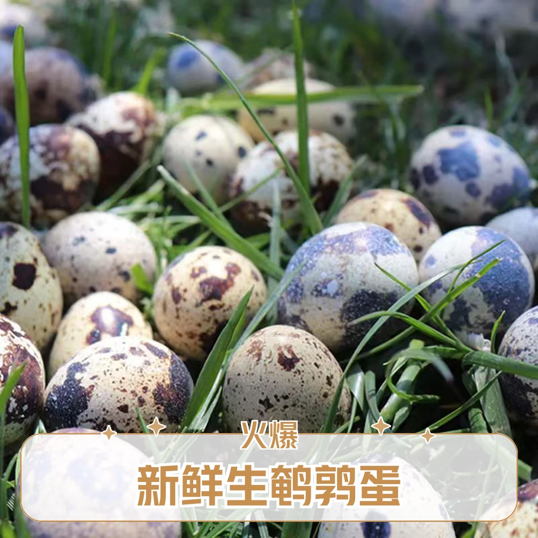 50枚鹌鹑蛋新鲜鹌鹑蛋杂粮蛋老人小孩辅食