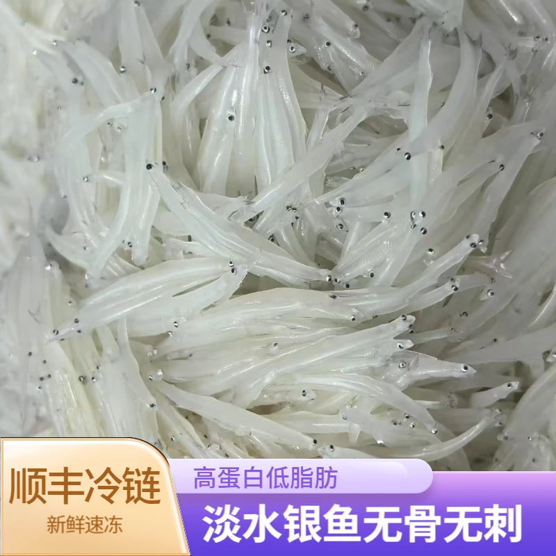 新鲜银鱼冷冻无骨无刺营养丰富老少皆宜100g*5包顺丰冷链