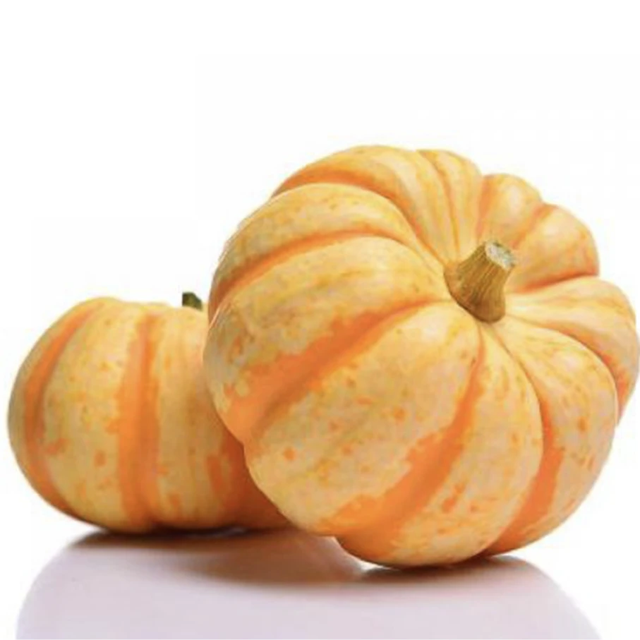 1箱【金星贝贝南瓜】比普通贝贝南瓜更细腻更面5-6颗 带箱2.8斤