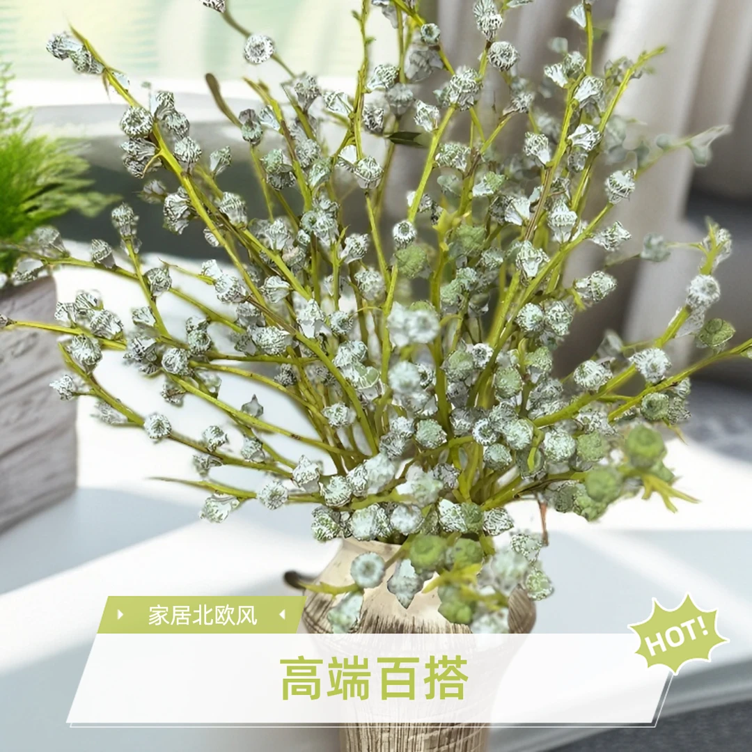 钻石尤加利果云南基地现采现发可做干花清香好养长久保存驱蚊安神