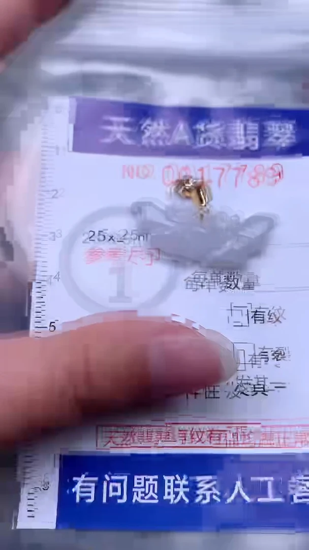 翡翠未镶嵌吊坠(不含链)1