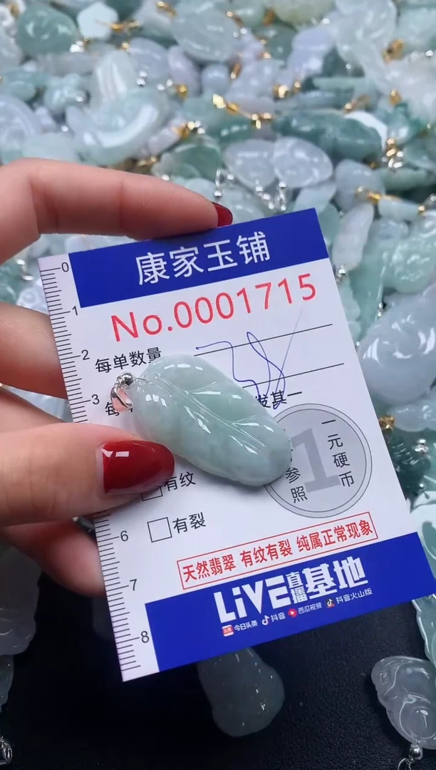 颈饰未镶嵌翡翠1715