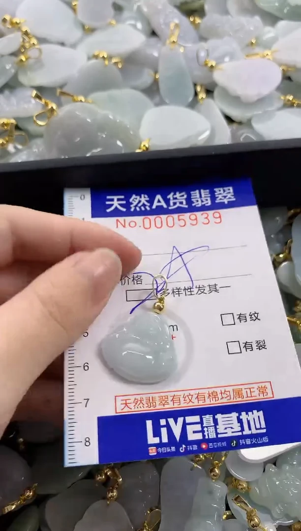颈饰未镶嵌翡翠天然A货翡翠