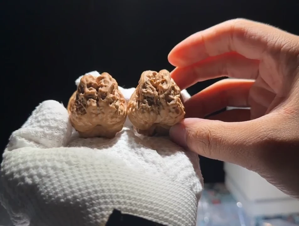 吊坠文玩核桃全品  边38  肚45  蛤蟆头