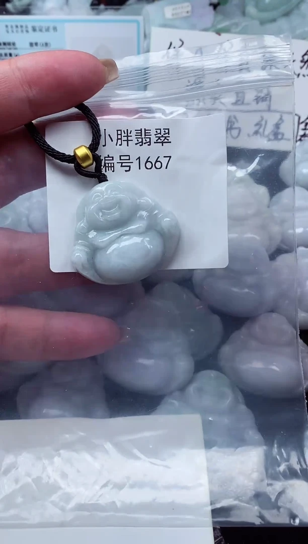 颈饰未镶嵌翡翠缅甸天然A货翡翠1667