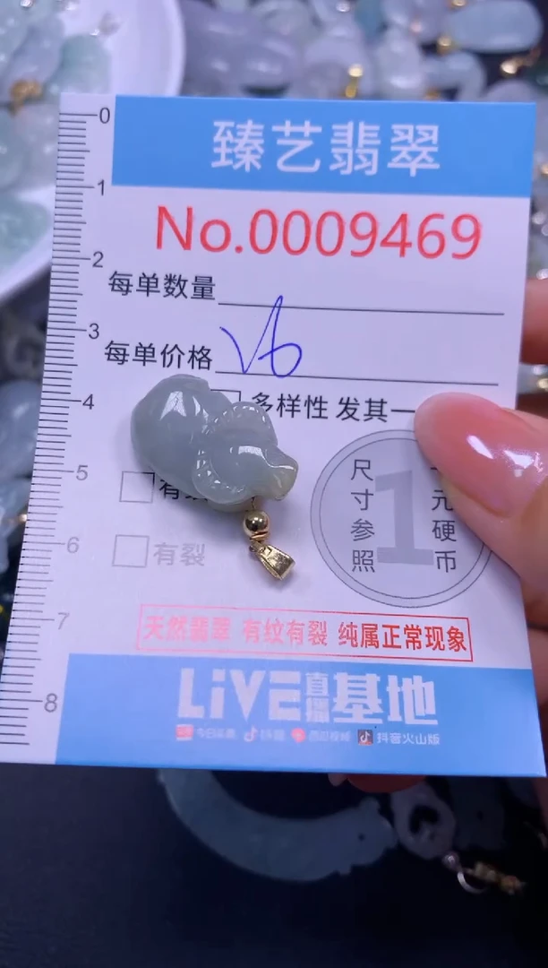颈饰未镶嵌翡翠9469