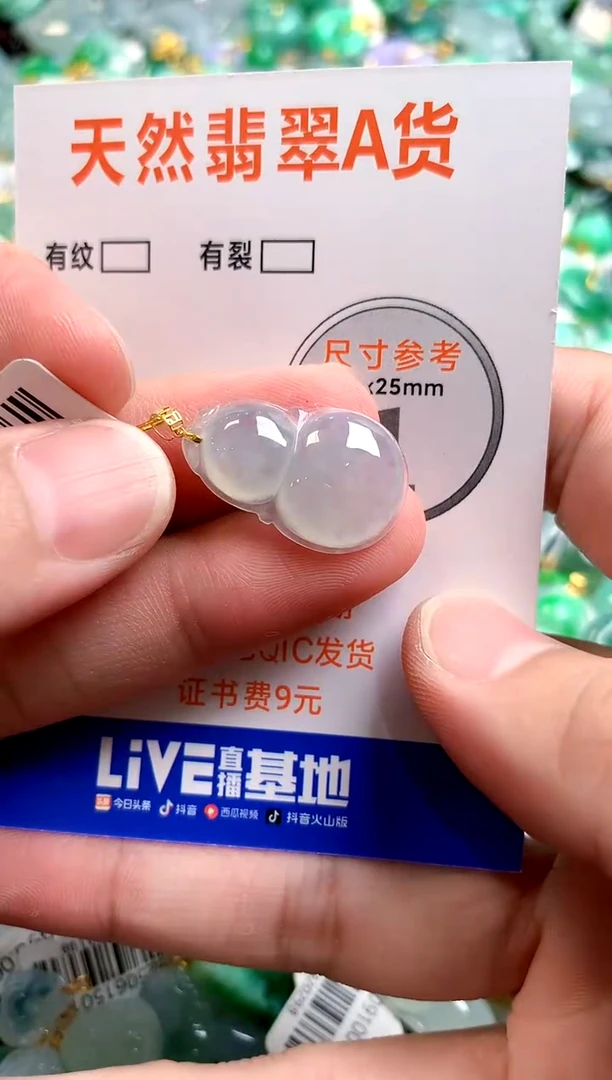 颈饰未镶嵌翡翠0147661007