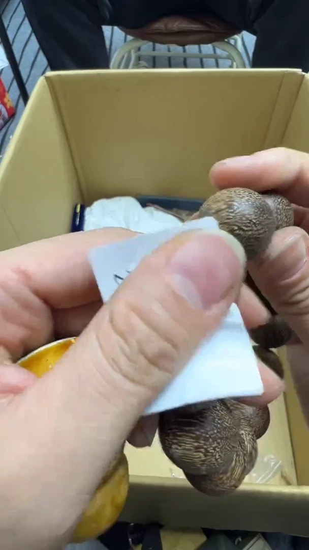 桃*随瓷片瓷片瓷片瓷片瓷片瓷片
