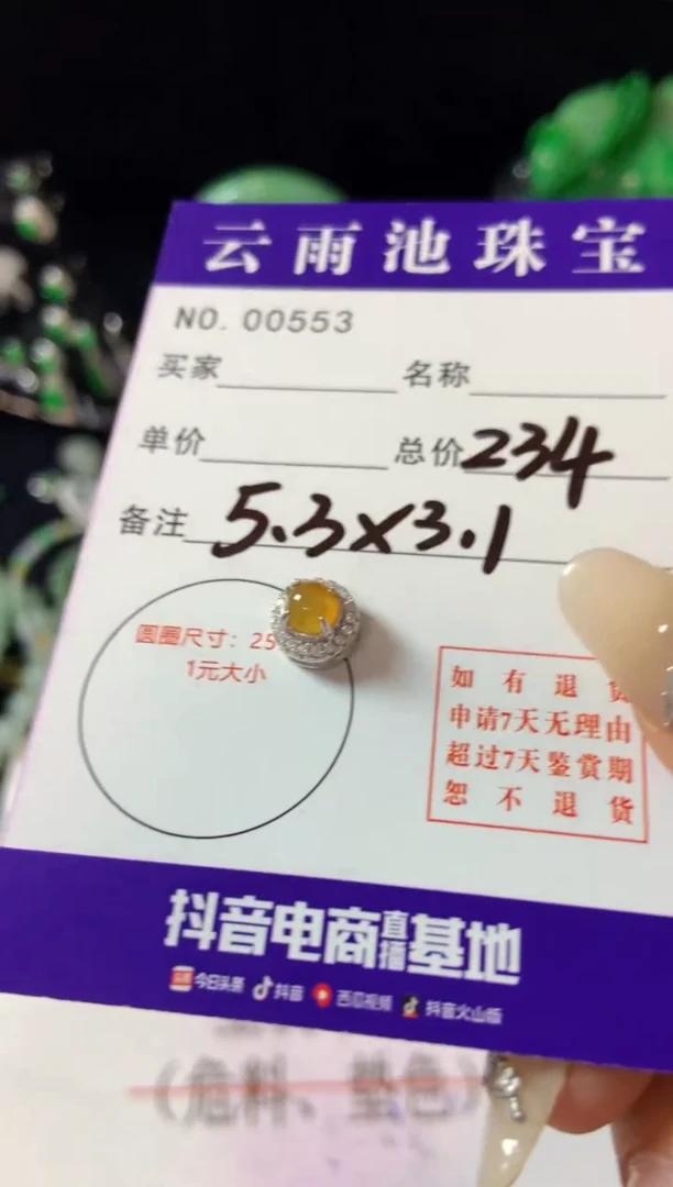 【闪购商品】翡翠颈饰银S925镶嵌翡翠