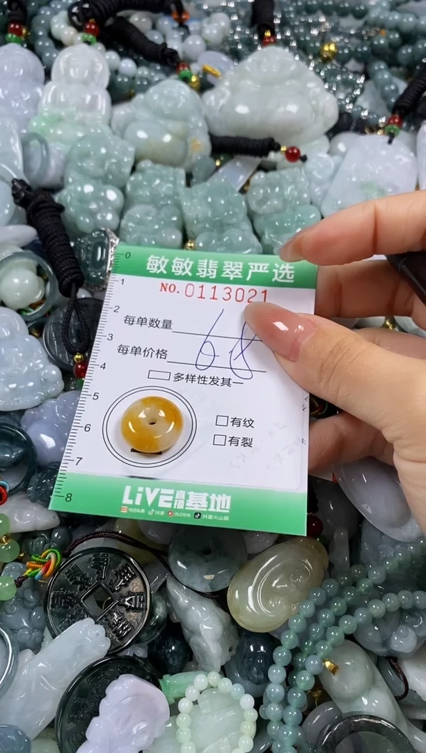 【闪购商品】翡翠颈饰未镶嵌闪购0113021
