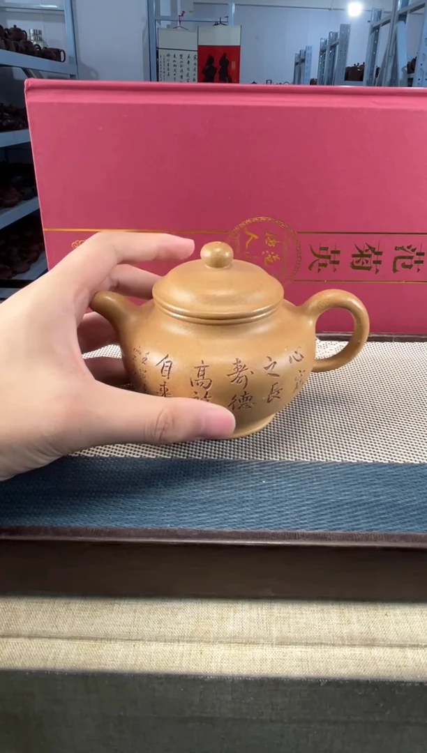 茶壶紫砂70宜兴紫砂300cc