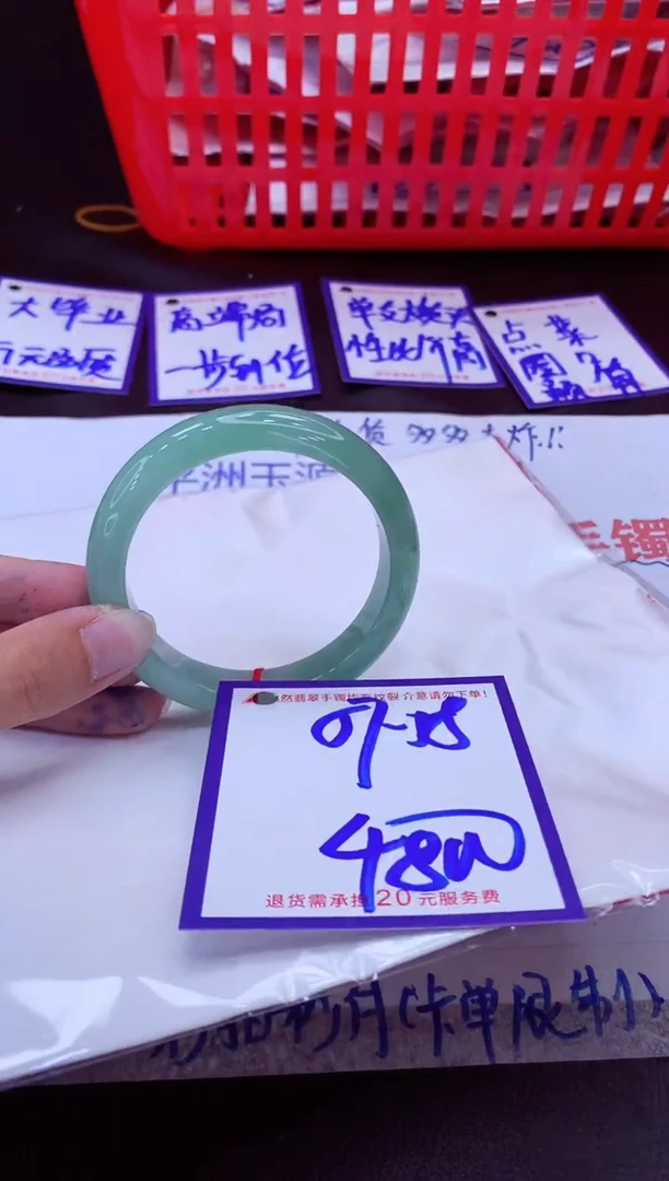 未镶嵌手镯翡翠11111111