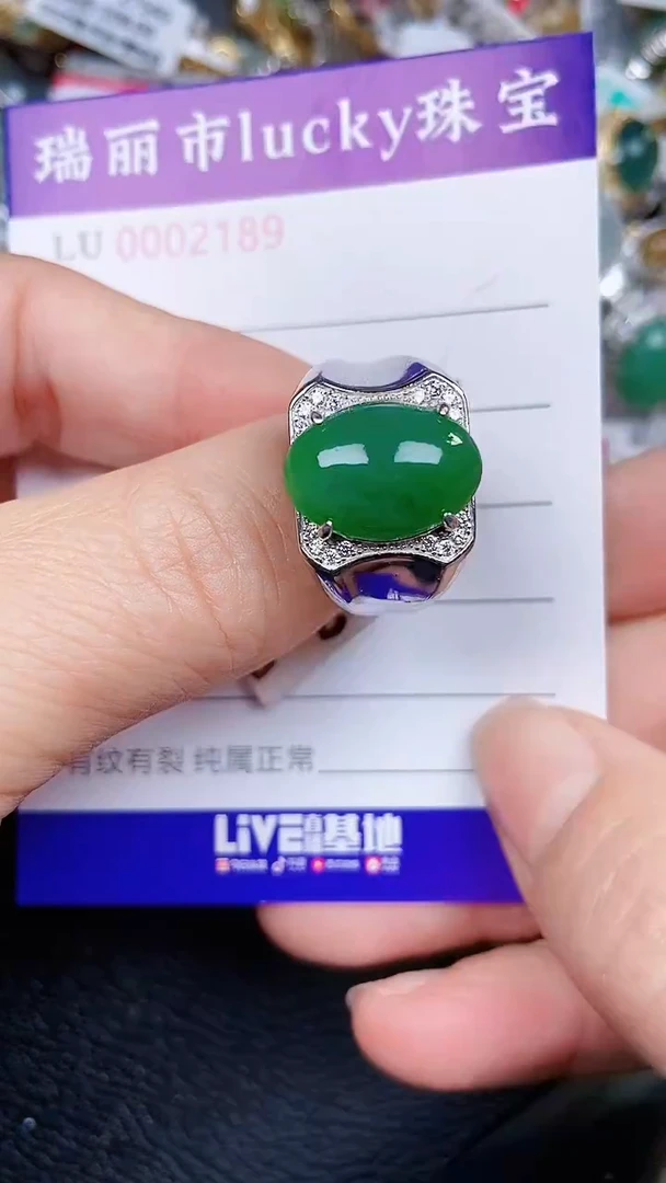 颈饰银S925镶嵌翡翠2189