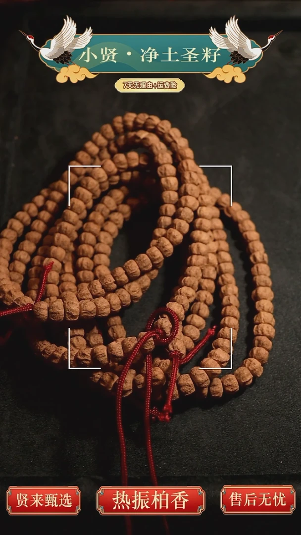 手串柏香籽/百香籽热振百香籽精品手持大厚切