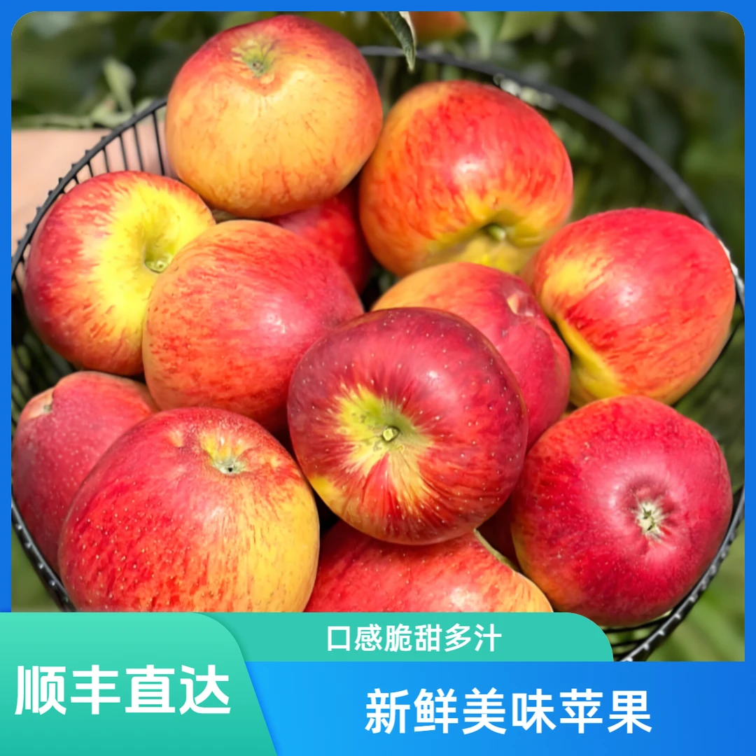 【顺丰送货上门】正宗云南昭通苹果红露苹果现摘新鲜水果脆甜多汁云南省