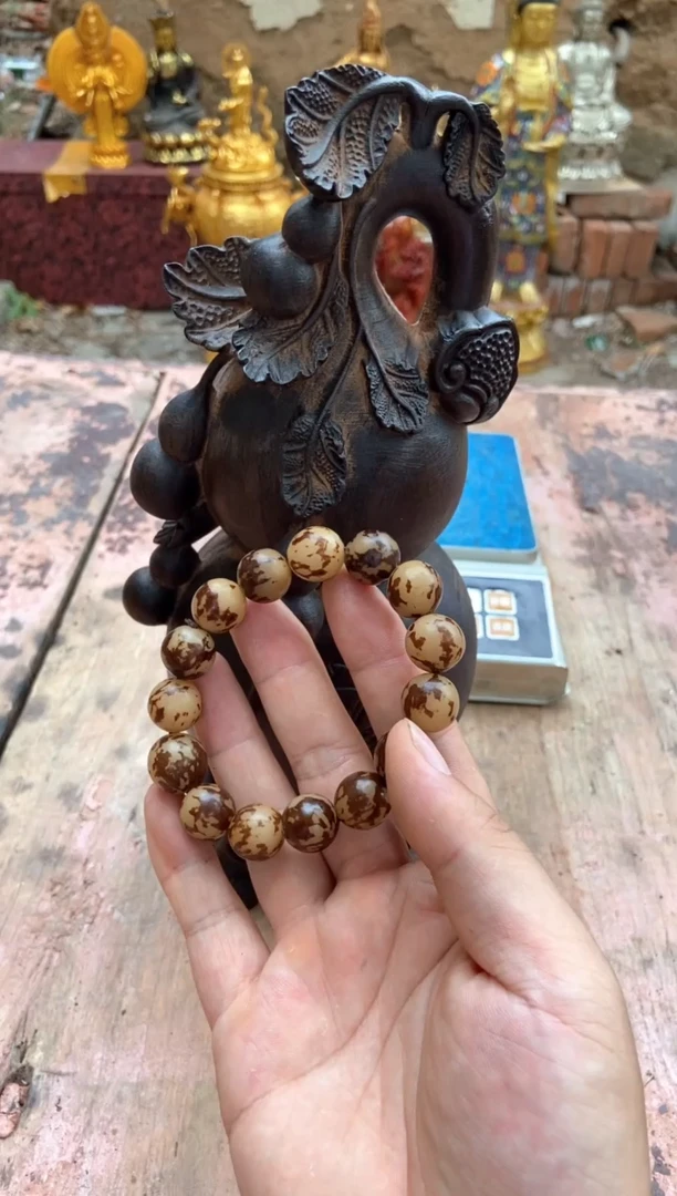 菩提根/象牙果吊坠精选好物推荐菩提