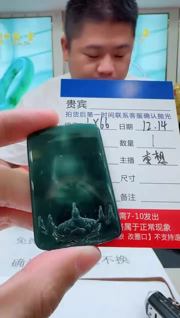 未镶嵌定制翡翠LX66翡翠吊坠-多样性发其一