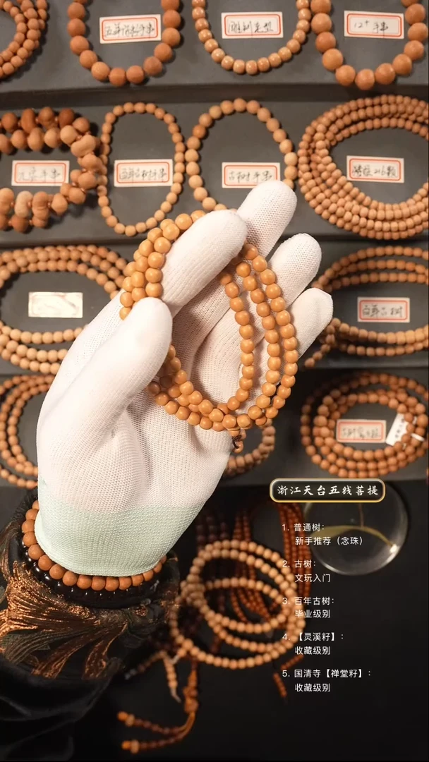 【闪购商品】五线菩提吊坠百年古树籽去皮脖挂6.1左右尺寸