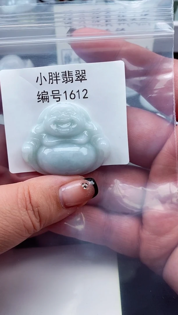 颈饰未镶嵌翡翠缅甸天然A货翡翠1612