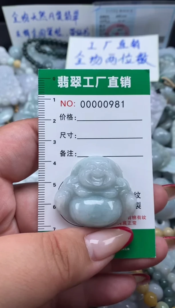 翡翠未镶嵌颈饰天然A货翡翠0981