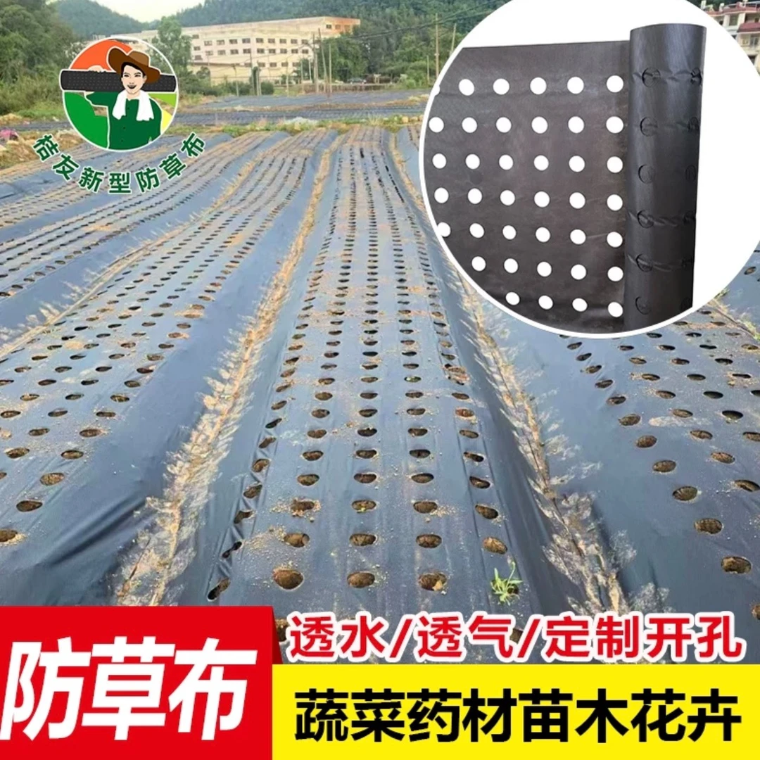 农用开孔防草布透水透气环保用于蔬菜药材防草布批发透水寸草不生